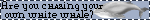 Blue banner with a pixel art whale. Text: 'Have you been chasing your own white whale?'